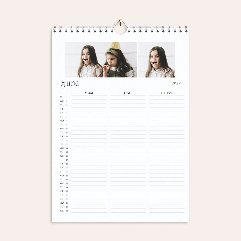 My Favourite Year