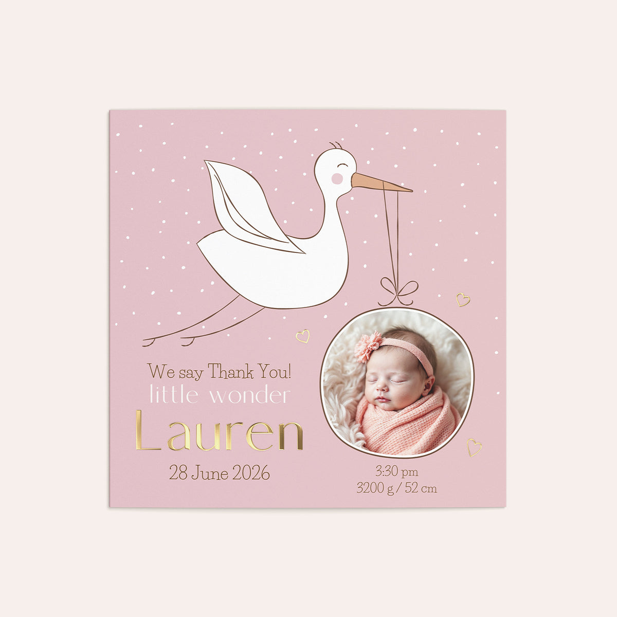 White Stork