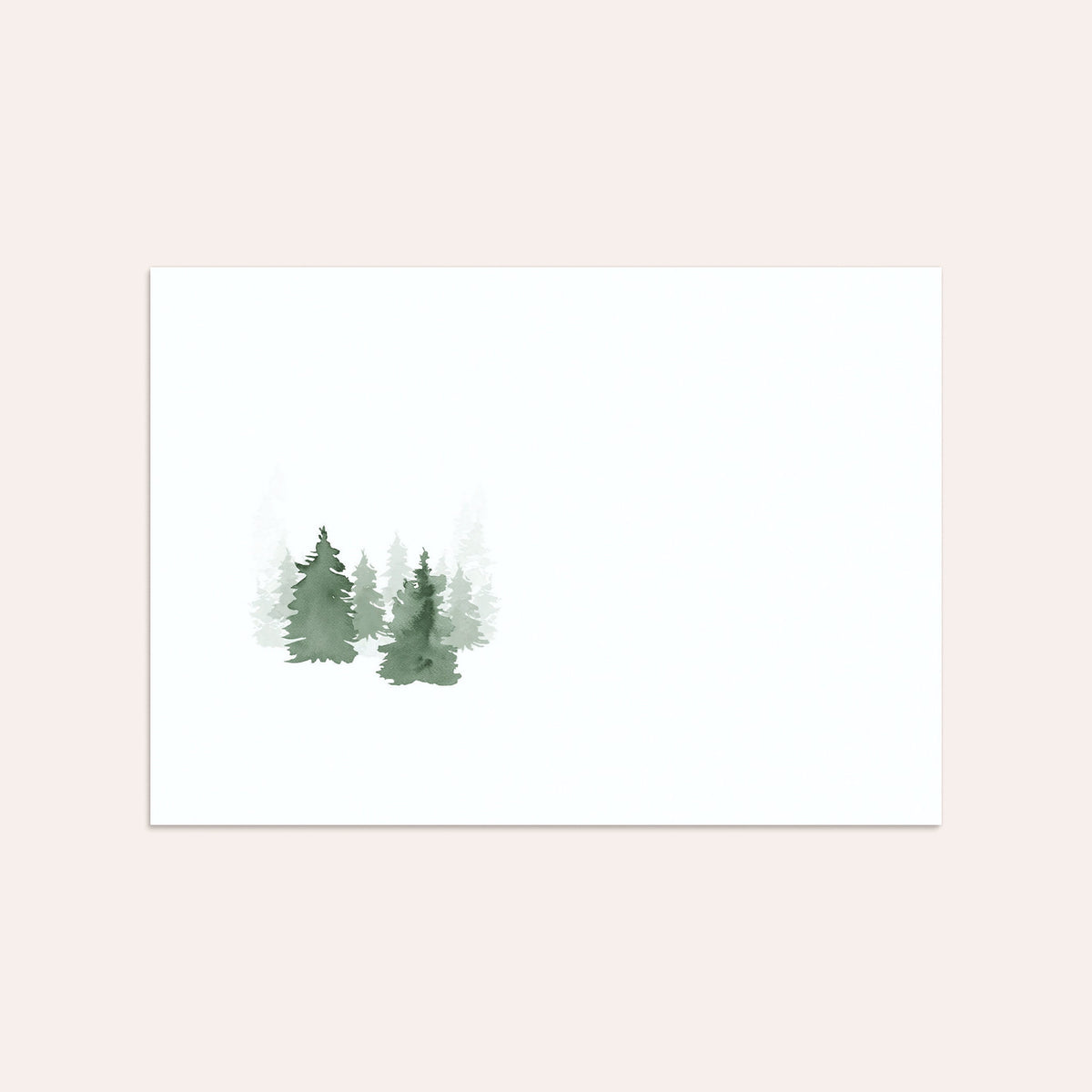 Magical Fir Forest